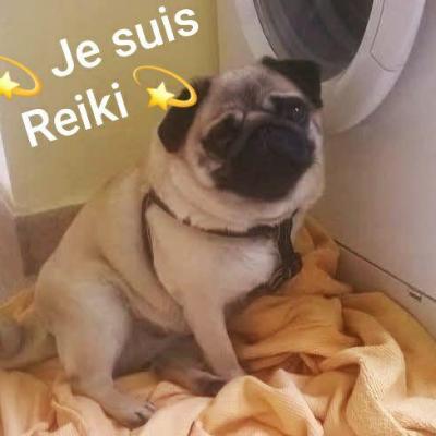 Je suis reiki nala